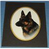 Image 7 : #62 UNITED STATES K-9 DOG POLICE LOT 33  PATCHES