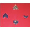 Image 7 : #66 ROYAL CANADIAN MOUNTED POLICE 13 BADGE SET