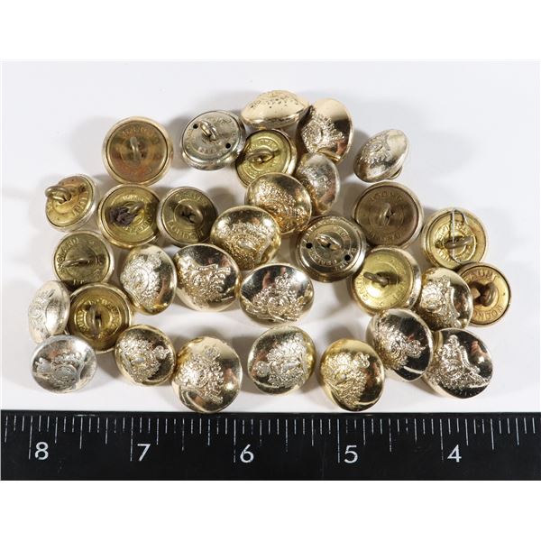 #242 ROYAL CANADIAN MOUNTED POLICE 31 BUTTONS