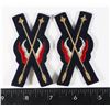 Image 1 : #271 RCMP MUSICAL RIDE INSIGNIA SET PAIR