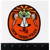 Image 1 : #341 ABORIGINAL USA MONTANA CROW TRIBAL POLICE