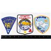 Image 1 : #416 UNITED STATES ALASKA POLICE 3 PATCHES GAMBELL