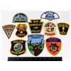 Image 1 : #428 LOT OF 10 UNITED STATES POLICE FORCE PATCHES