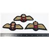 Image 1 : #753 ROYAL CANADIAN AIR FORCE PADDED WINGS LOT X3