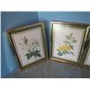 Image 2 : Framed prints of flowers