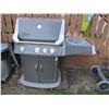 Image 1 : Fiesta barbecue