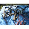 Image 2 : various halters