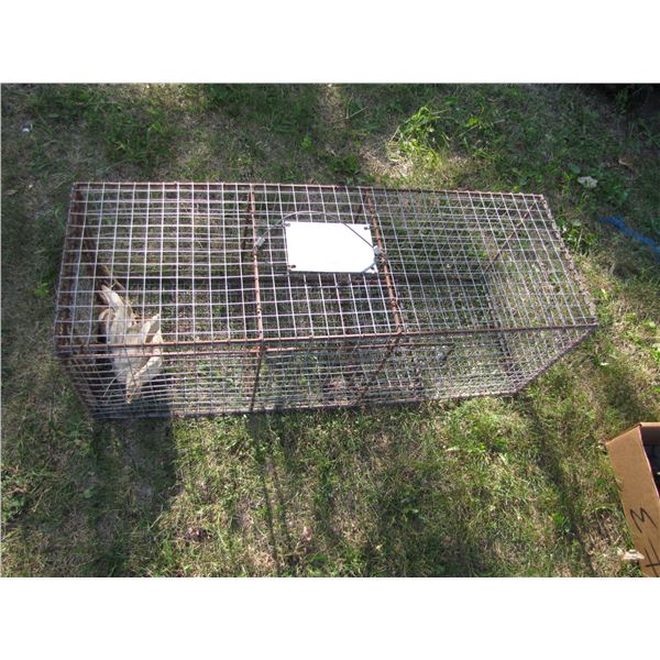 Live animal trap