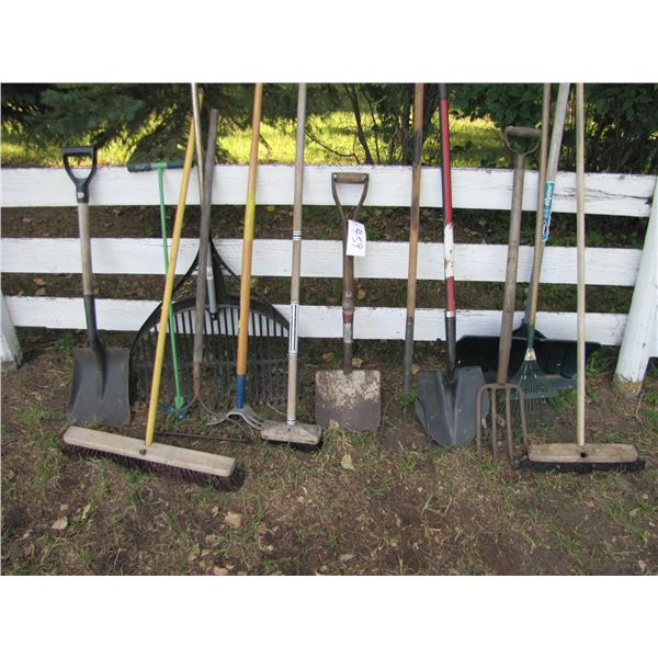 Assortment of garden tools
