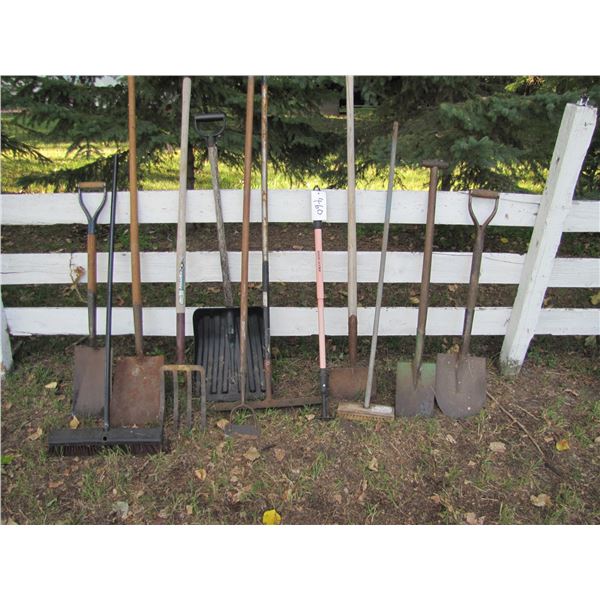 Assortment of garden tools