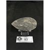 Image 2 : Ammonite Fossil  (Morocco) Retails $200.00