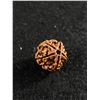 Image 2 : Natural 5 Face Rudraksha w/ COA