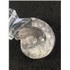 Image 2 : Goniatite Fossil Specimen. Retails $300.00