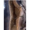Image 2 : 6.5" 2.7Kg Amethyst Geode Brazil. Retails $1100.00