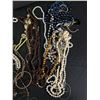 Image 2 : Lot Of Assorted Necklaces, Bracelets & More
