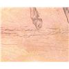 Image 2 : Ca. 1930- Will James Original Etched Copper Plate