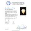 Image 5 : 9.70 ctw Opal and Diamond Ring - 14KT White Gold