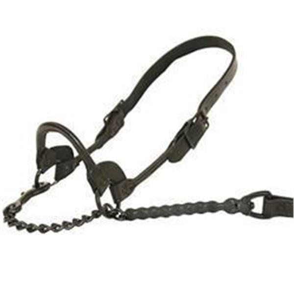 Sullivan Supply 1st Class Show Halter Lot of 2