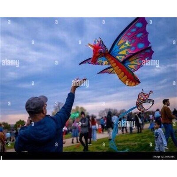 Super Sized Nylon Kite 66" Wing Span Sea Horse