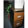 Image 1 : 2 DRAWER FILING CABINET