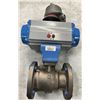 Image 1 : Jamesbury #VPVL400SR6BD Actuator Unit