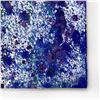 Image 2 : Splash 169 by Wyland Original