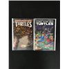 Image 1 : LOT OF 2 TEENAGE MUTANT NINJA TURTLES COMICS (INDI)