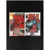 Image 1 : LOT OF 2 HULK COMICS (MARVEL COMICS)