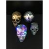 Image 1 : VARIOUS SKULLS LOT