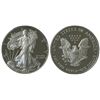 Image 1 : 2006-W Eagle $1 Proof