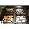 Image 2 : ST. STEEL 4 BURNER COMMERCIAL GAS (PROPANE) OVEN