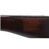 Image 13 : ENFIELD | Model: P14 Drill Purpose | Caliber: .303 BR