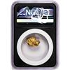 Image 2 : 5.17 Gram Caborca Sonora Mexico Gold Nugget NGC Vaultbox Unvaulted