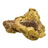 Image 2 : 2.40 Gram Sinaloa, Mexico Gold Nugget