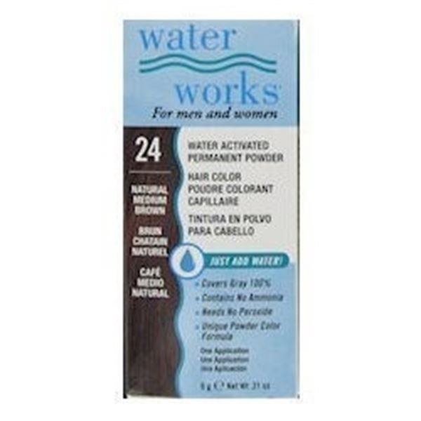 NEW WATER WORKS PERMANENT POWDER HAIR COLOR 24