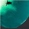 Image 2 : Sea Turtle by Wyland Original