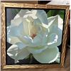 Image 1 : Rose in the Shadows by Brian Davis