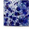 Image 2 : Splash 37 by Wyland Original