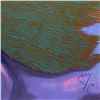 Image 2 : Musical Taste by Zen, Lun