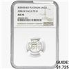 Image 1 : 2006 $10 Platinum Eagle-Burnished NGC MS70