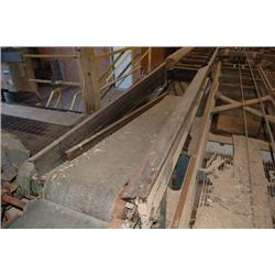OFF BEAR BELT, HYDRAULIC SLAB DECLINE/DUMP CONVEYOR, 13' L X 22' W W/ MOTOR & DRIVE