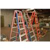 Image 1 : (3) STEP LADDERS