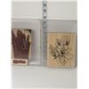 Image 1 : Lot Of 2 Packages Of Stampin Up Stamps