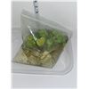 Image 1 : Pair Of 2 Water Plants - Healthy At Time Of Pictures - Not Available For Shipping