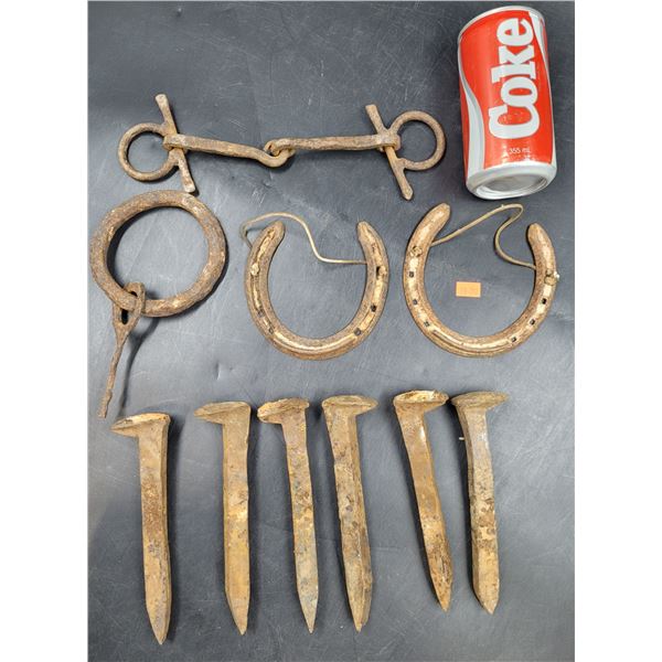 Vintage Horseshoes & Railroad Spikes