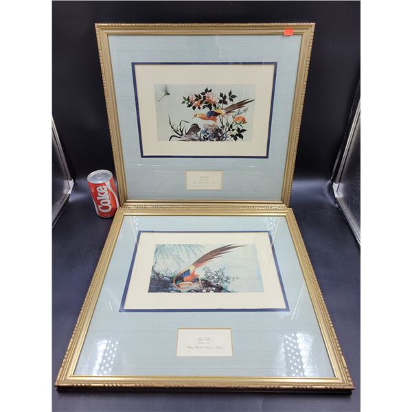 Vintage Framed Lamina XIII Arte Chino Bird Prints
