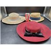 Image 1 : Flat Top Hat Lot