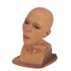 Image 10 : A Beyond the Valley of the Dolls Erica Gavin Life Cast.