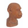 Image 3 : A "Planet of the Apes" Chimp 1st Master Head.