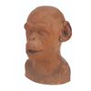 Image 4 : A "Planet of the Apes" Chimp 1st Master Head.